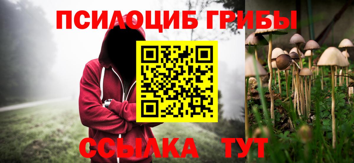 Ишимбай  Галлюциногенные грибы Psilocybine cubensis  Псилоцибиновые грибы Magic Shrooms  Вход с VPN 